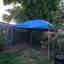 Customer photo 2 of 6