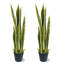 3pi faux panaché artificiel jaune plante artificielle moderne sansevieria pour salon bureau-573965522