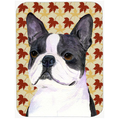 Planche à découper en verre terrier east urban home boston