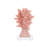 Fire Coral Set Of 2
