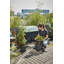 Elevated Planter-69444288-69444290
