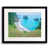 Black Framed Paper is unavailable