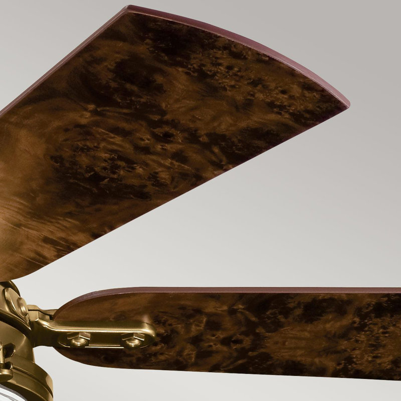 Marcela 56cm Ceiling Fan with LED Lights