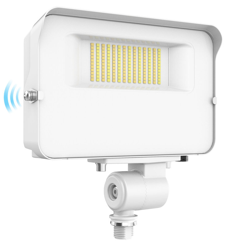 Projecteur d'extérieur à DEL