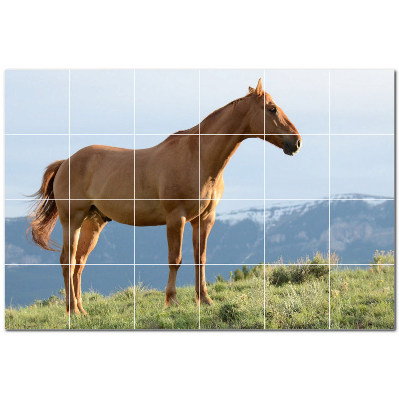Carreau de céramique décorative 25,5 po x 17 po PT500756: 4,25 po x 4,25 po (ensemble de 24)