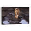 Majestic African Lion Contemporary Cat Lion Nature Wildlife Wall Art Print-1437657052
