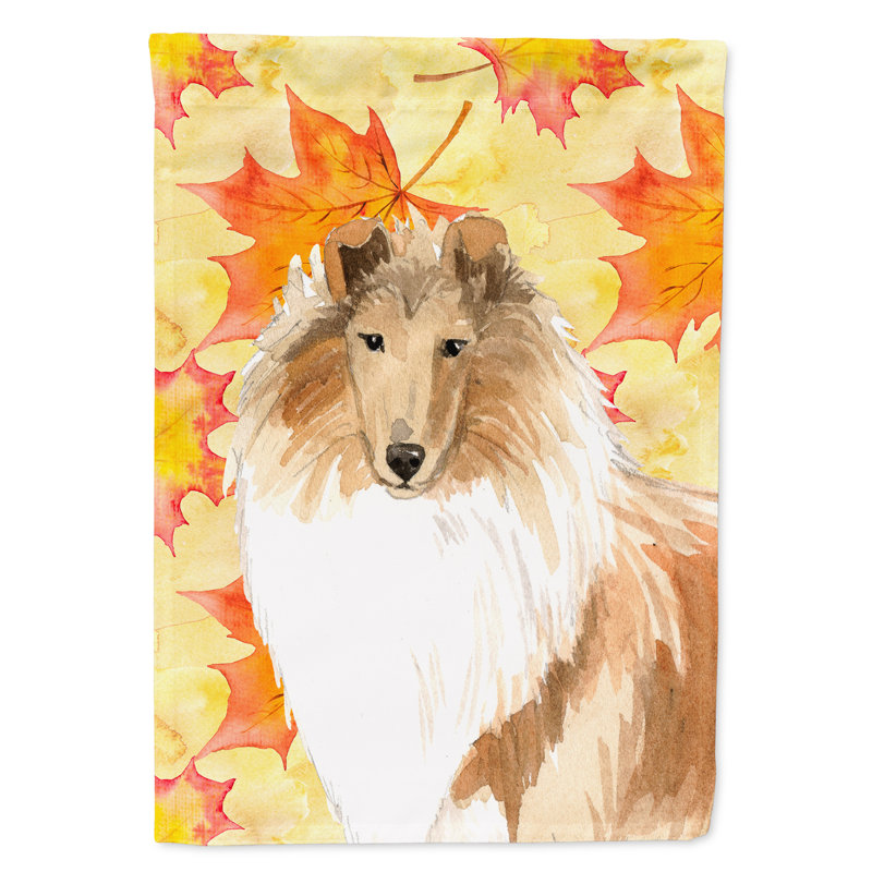 Automne 2 côtés en polyester 15 x 11 po drapeau de jardin, Colley brun / blanc