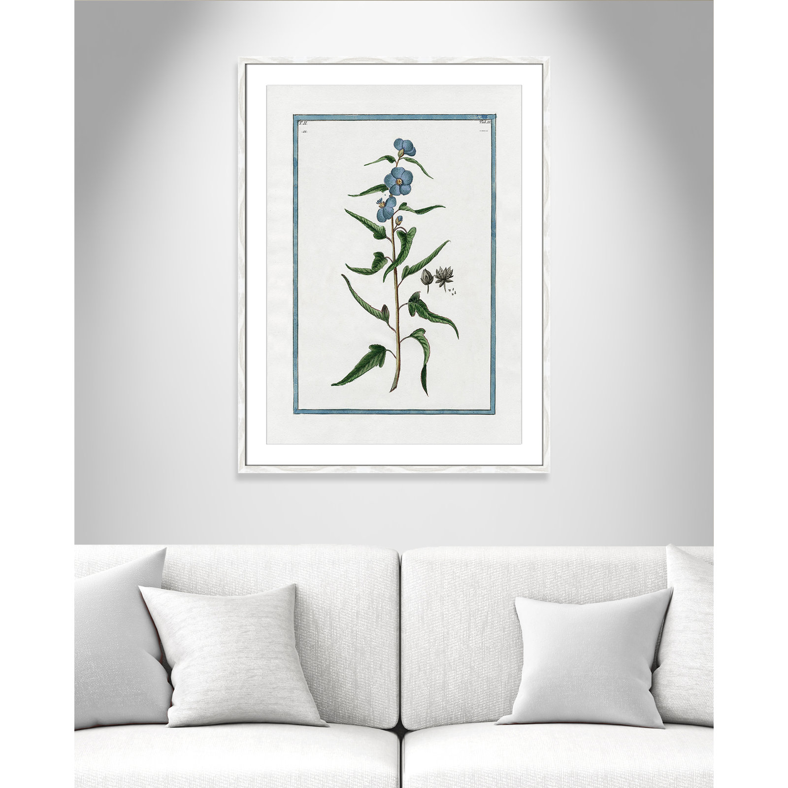 Colombe "Shabby Elegance Botanical I" Print, 25.5" W x 35.5" H, White Framed