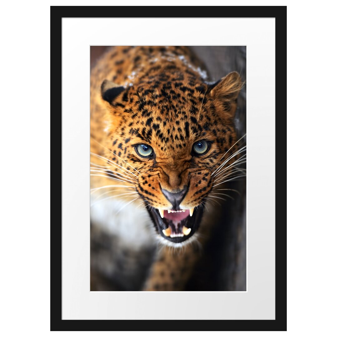 Gerahmter Fotodruck Stalking Leopard