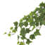 Lierre artificiel en pot 24 po Weatherhill Toscani