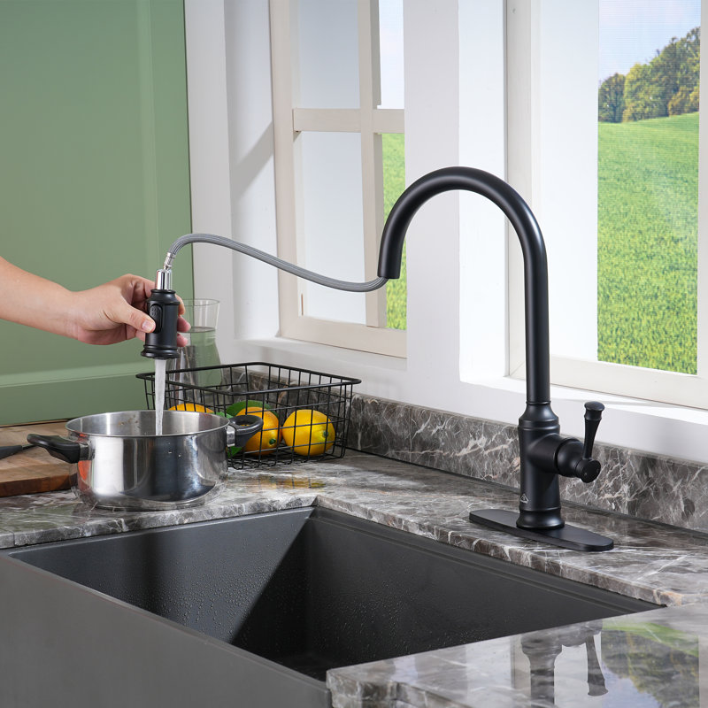 Matte Black Stainless Steel Pull-Out Kitchen Faucet