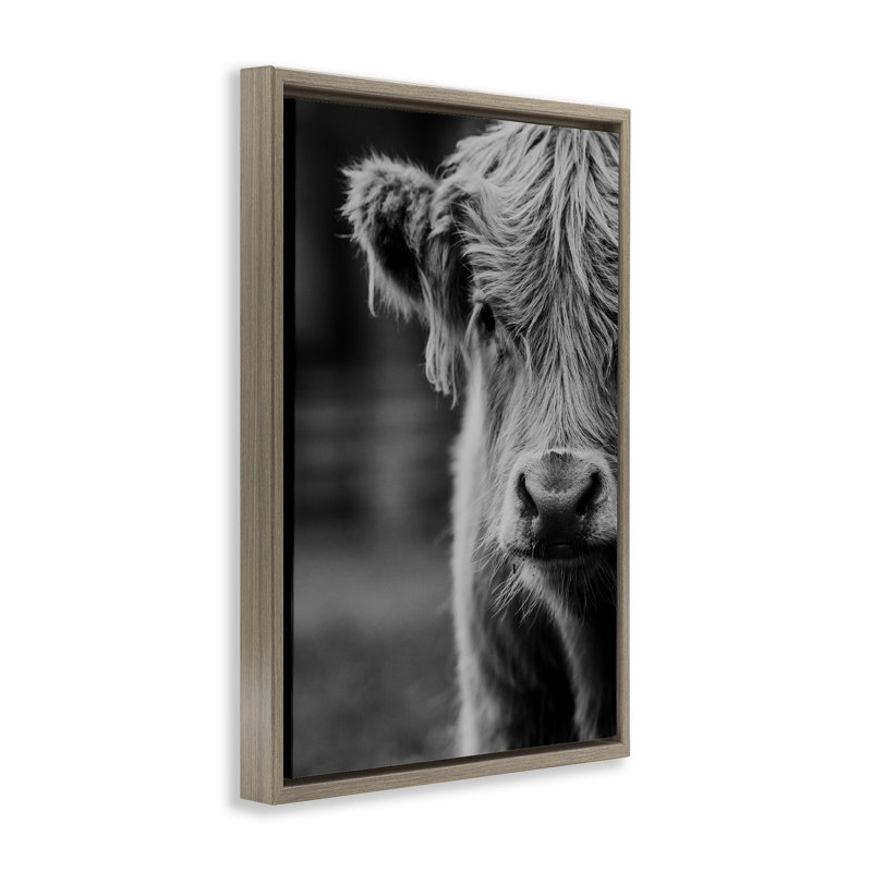 Cadre flottant pour bébé vache, design par Amy Carroll, H 31 po x l 21 po, Cadre flottant orme Montalcino