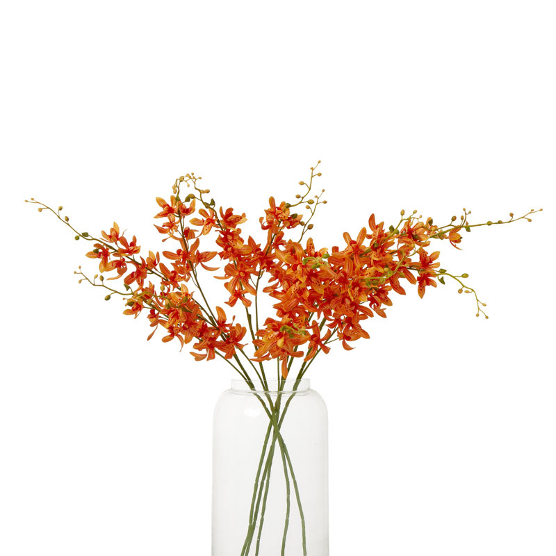 Anastasija Arrangement, Orange