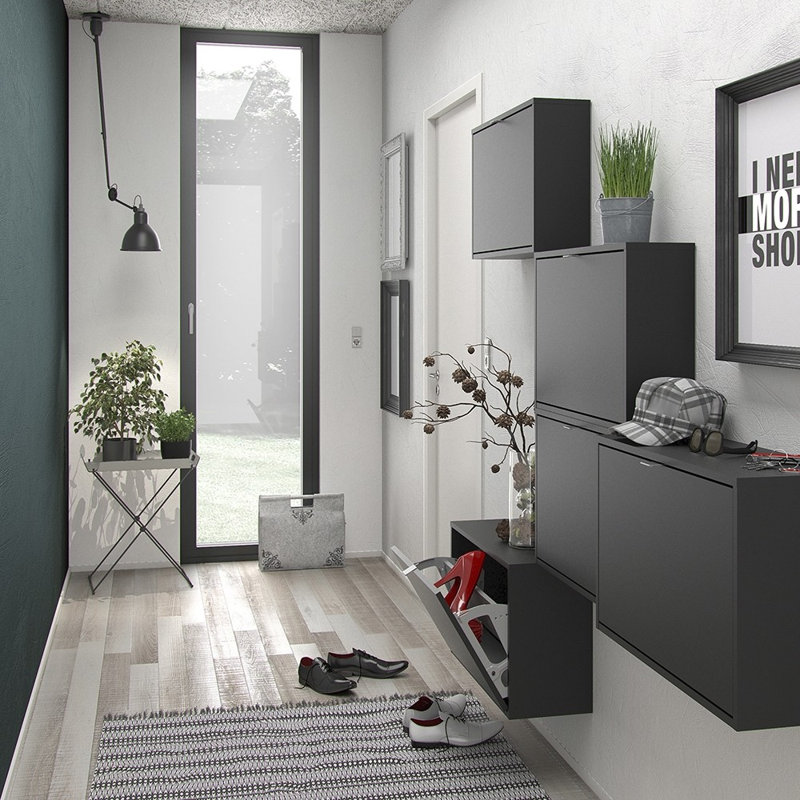 Shoes 12 Pair Shoe Storage Cabinet, Matte Black