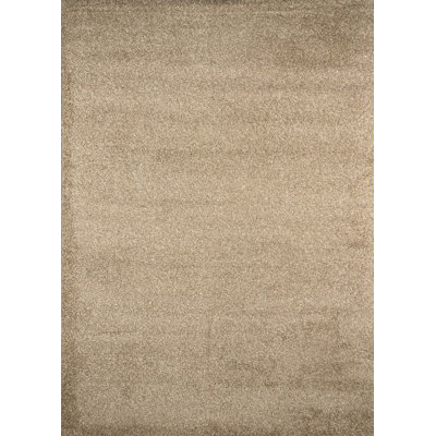 Indoor Rug