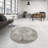 Oriental Indoor Rug-676798849