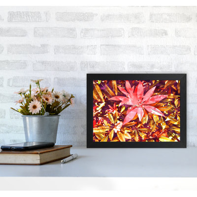 Autumnal Flowers - Print on Canvas