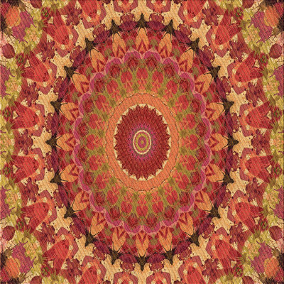 Tapis 100% orange à motif lavable à la machine 2989