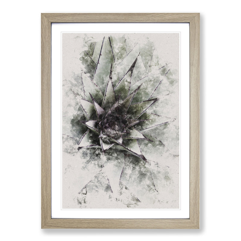 The Succulent Plant - Framed Print, 36cm H x 27cm W x 2cm D, Oak Framed