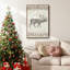 Cabine de Noël, collection B-1566728468-1566728470