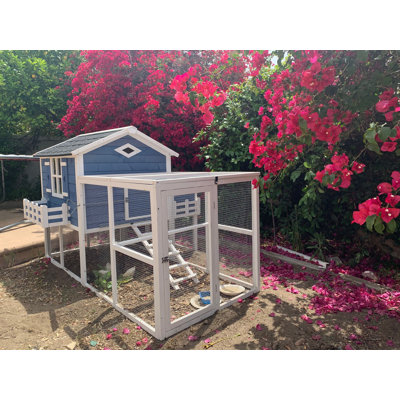 Garden Window Large Chicken Coop Chook Pen Cage House Predator Proof L85 X W58 X H52 Inches