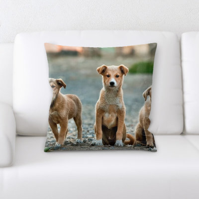 Coussin de chiens