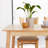 Husno 70.9" Rectangular Solid Wood Dining Table-1922847404