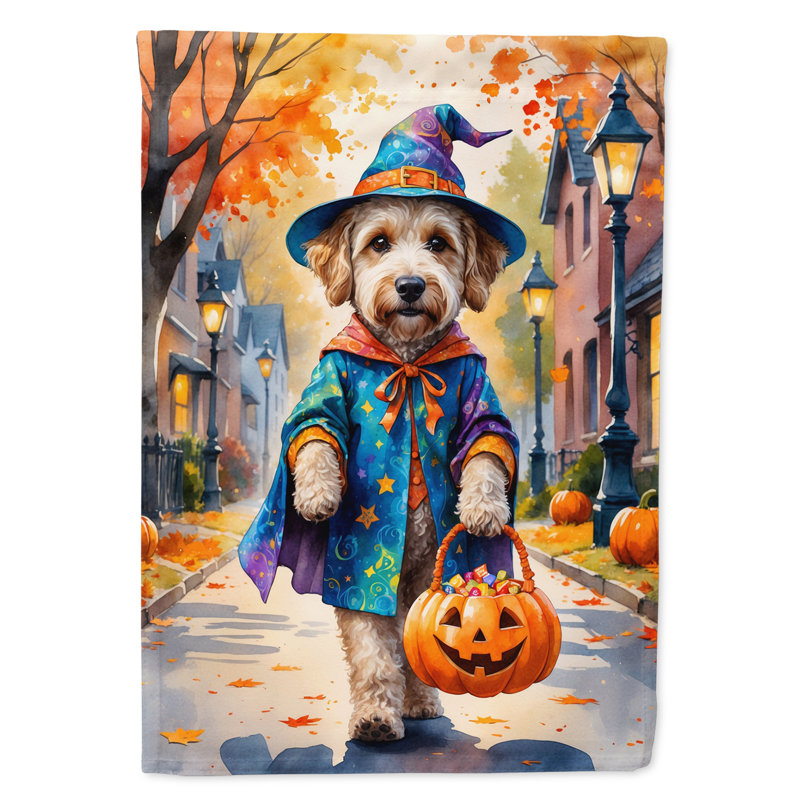 Drapeau de maison Weimaraner, Labradoodle