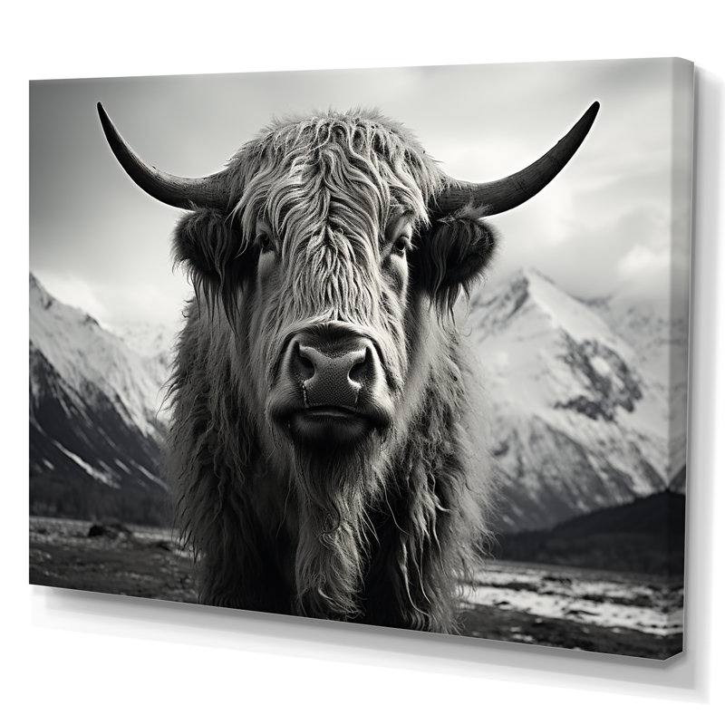 Décoration murale noire et blanche Portrait de yaks IV - Yaks, H 24 po x l 32 po x P 1 po