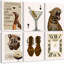 6 Piece Wrapped Canvas Print