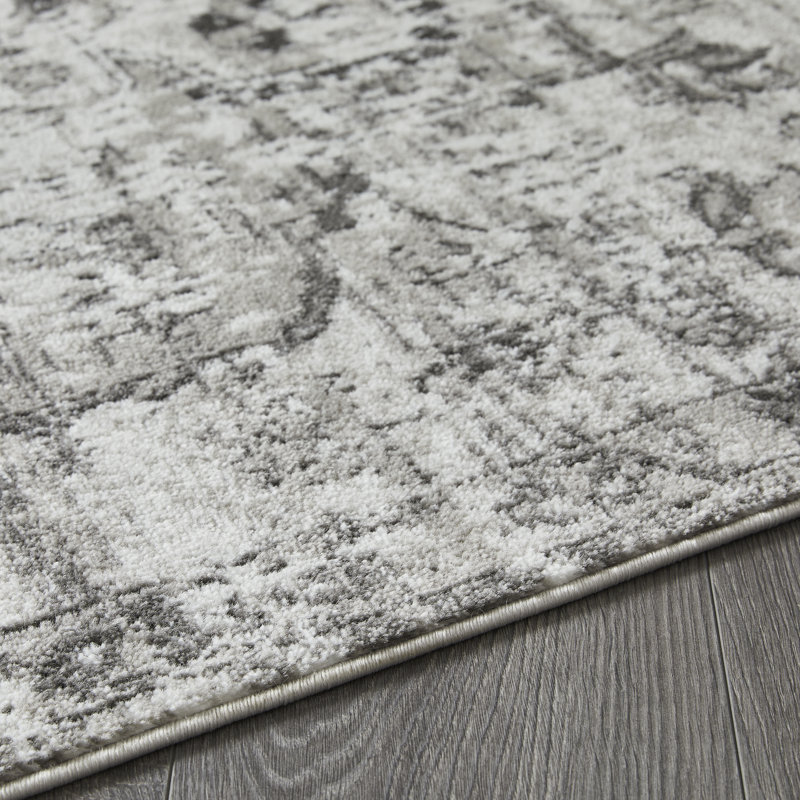 Raghdah Oriental Indoor Rug, Rectangle 4' x 6'