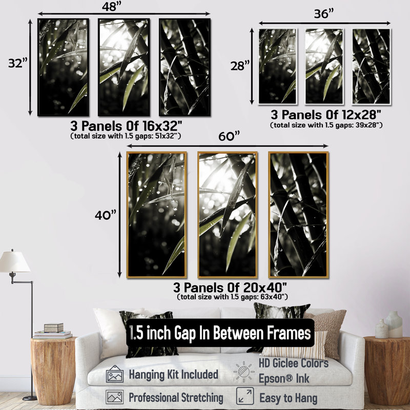 Ensemble de photos murales en bambou noir et blanc, Cadre flottant blanc, H 28 po x l 36 po x P 1 po