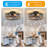 Karnisha 19.6'' Ceiling Fan with Light Kit