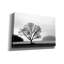 «Arbre à pique-nique» par PhotoINC Studio-1591819229