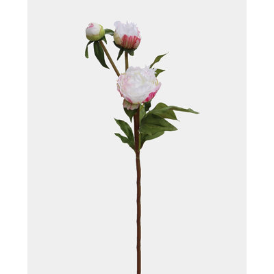 Pivoine jaune tendre 48 cm