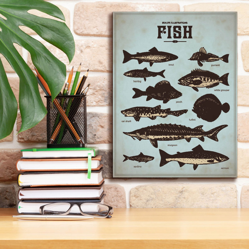 «Vintage Fish Poster» par Epic Portfolio, art mural sur toile, H 16 po x l 12 po x P 0,75 po