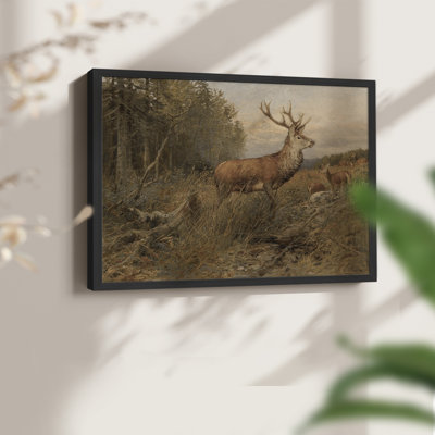 Faune rétro-XXV III - reproduction encadrée - réaménageable