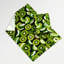Tapisserie murale Fruit Kiwi-133641002
