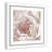 Intimate Blush " Intimate Blush II "-60493310-60493306