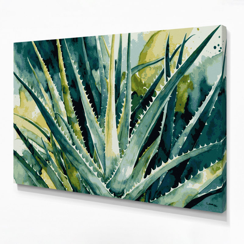 Art mural sur toile Botanical Aloe Vera, H 20 po x l 24 po