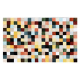Multicolor Checkerboard 2'3" X 3'9" Rug