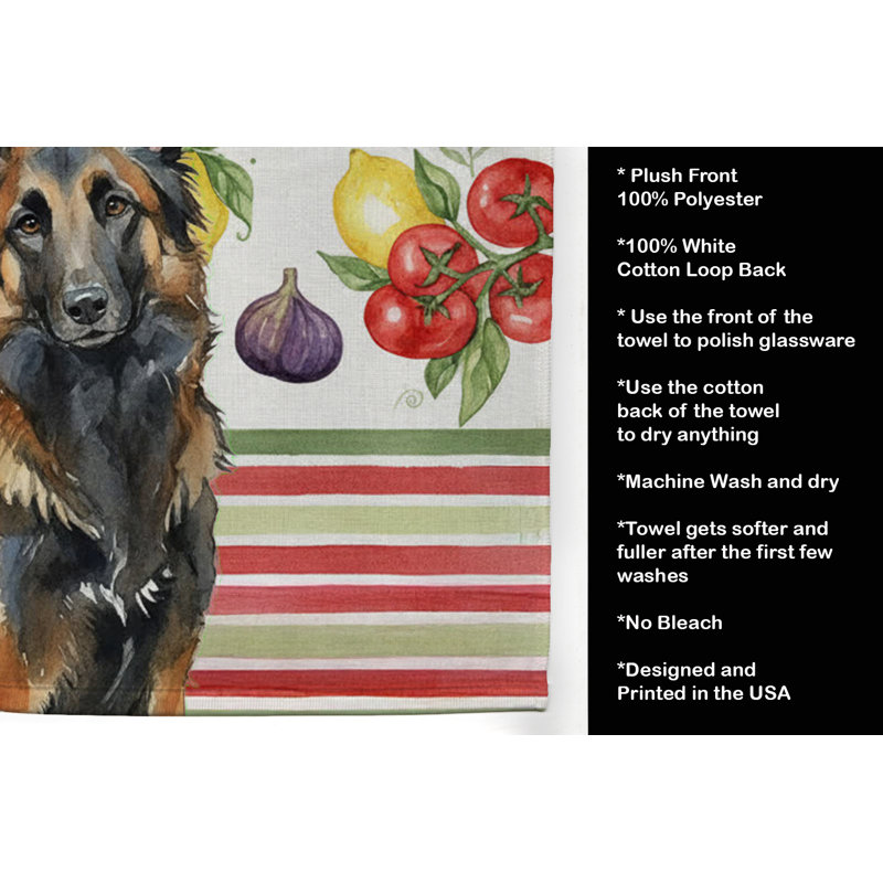 Torchon belge à légumes Tervuren, Belgian Tervuren