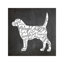 Dog Vocabulary by Erin Clark - Print on Canvas-1899243902-1899243875