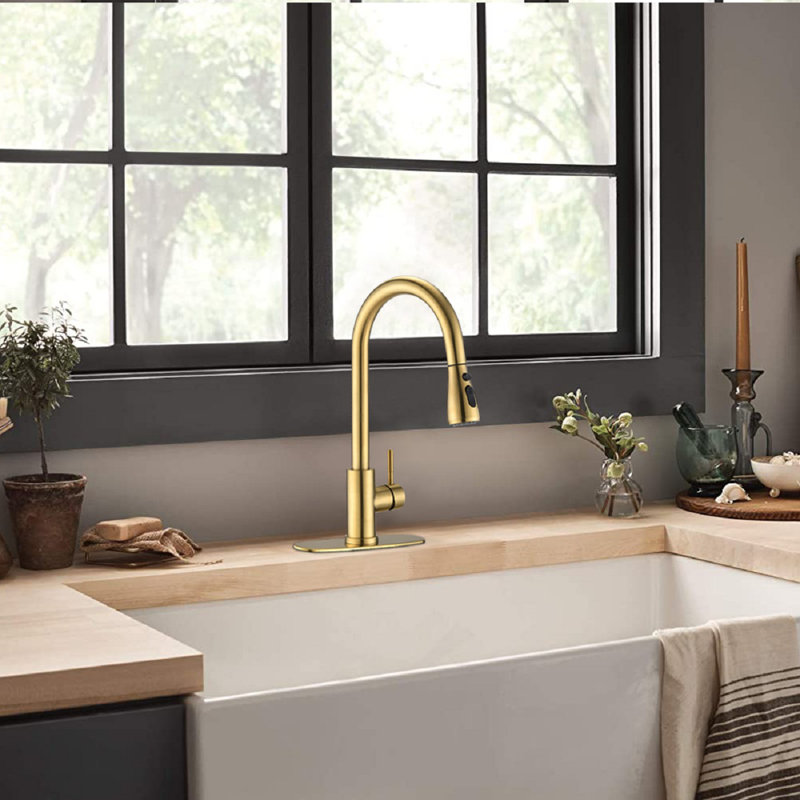 NOVEL Pull Out Kitchen Faucet, Brushed Gold