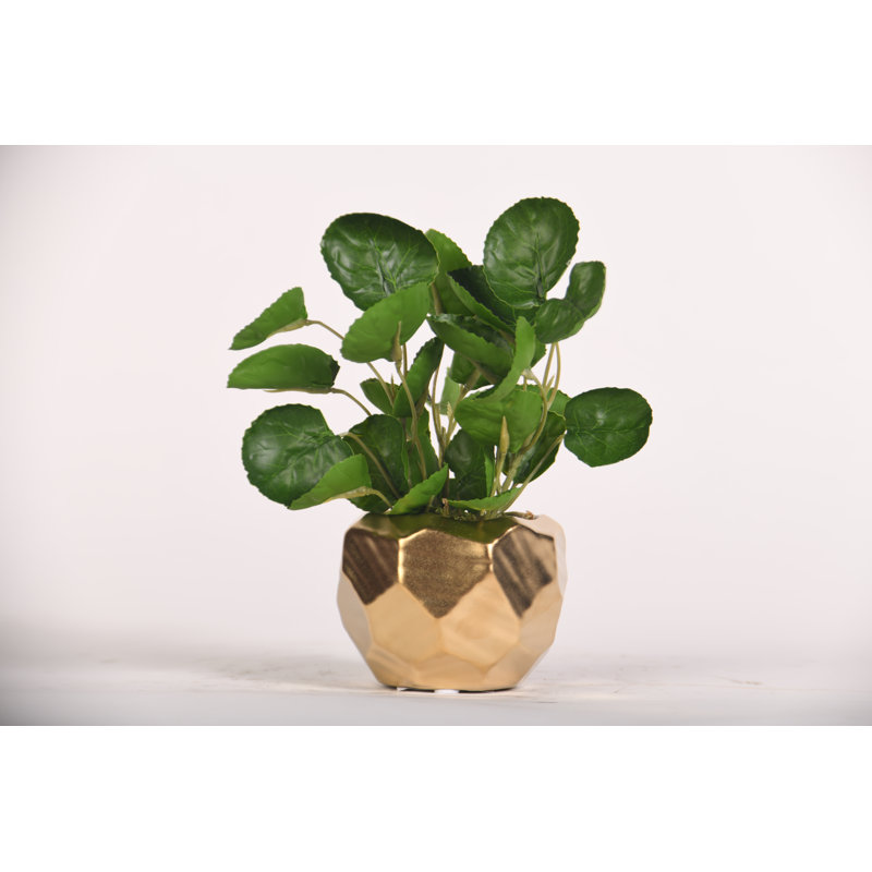 Faux Eucalyptus Plant in Ceramic Planter