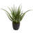 26'' Faux Agave Succulent in Planter