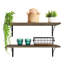 Ensemble de 2 eucalyptus 10 po x 27 po Cipolla-2006012989-1985077095