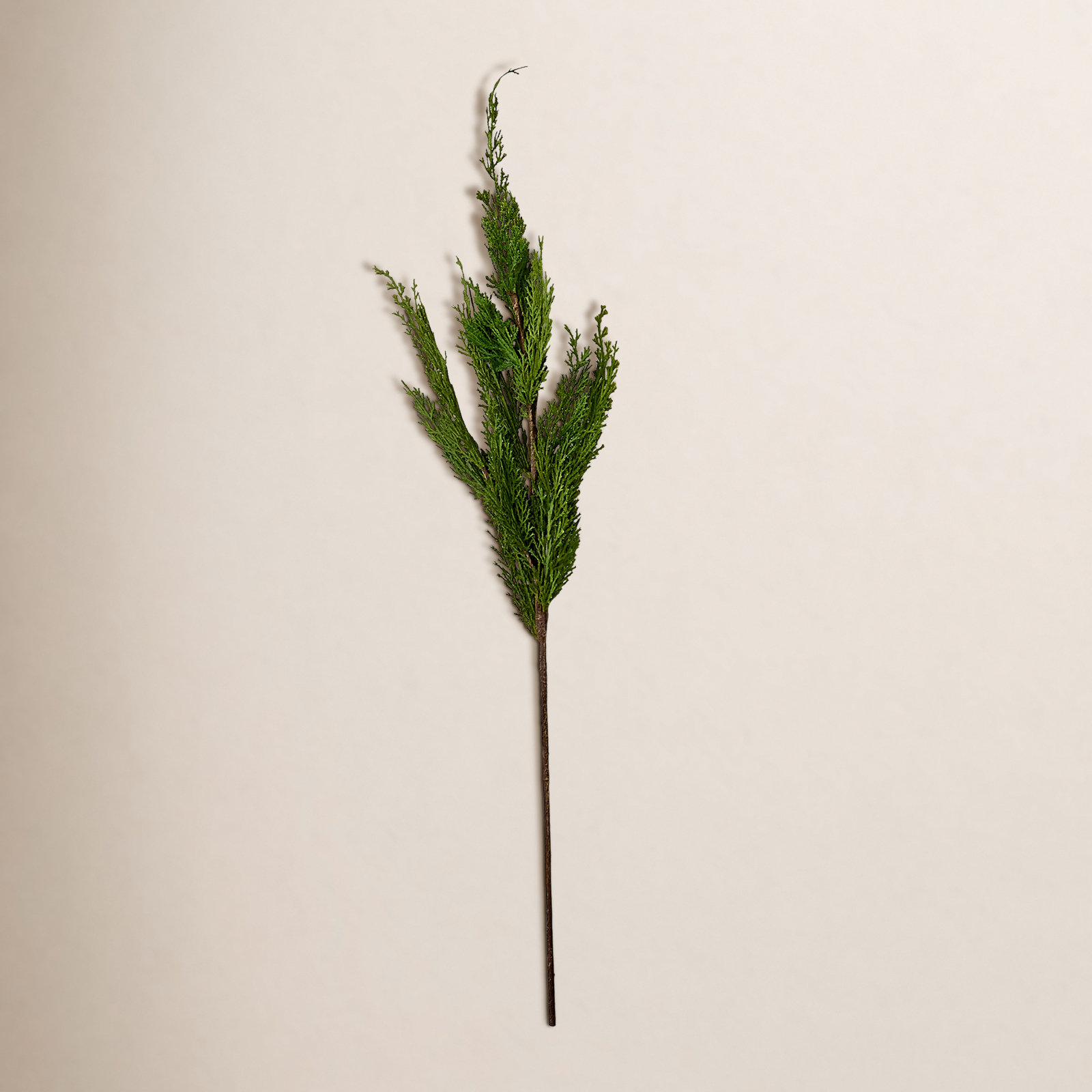 Cedar Floral Stems