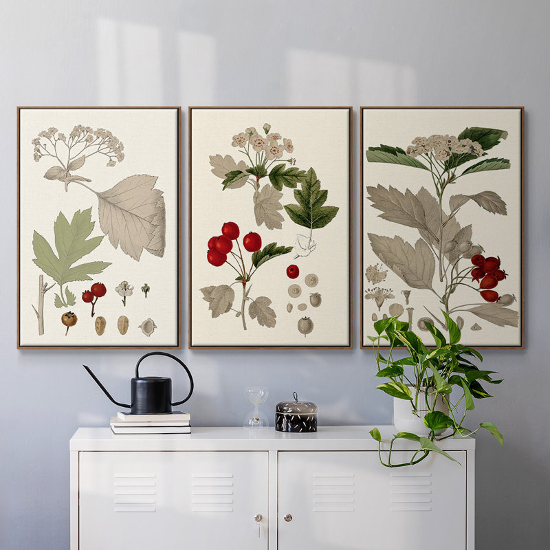Feuilles et baies I, ensemble de 3 toiles encadrées, H 40 po x l 78 po, Cadre noyer