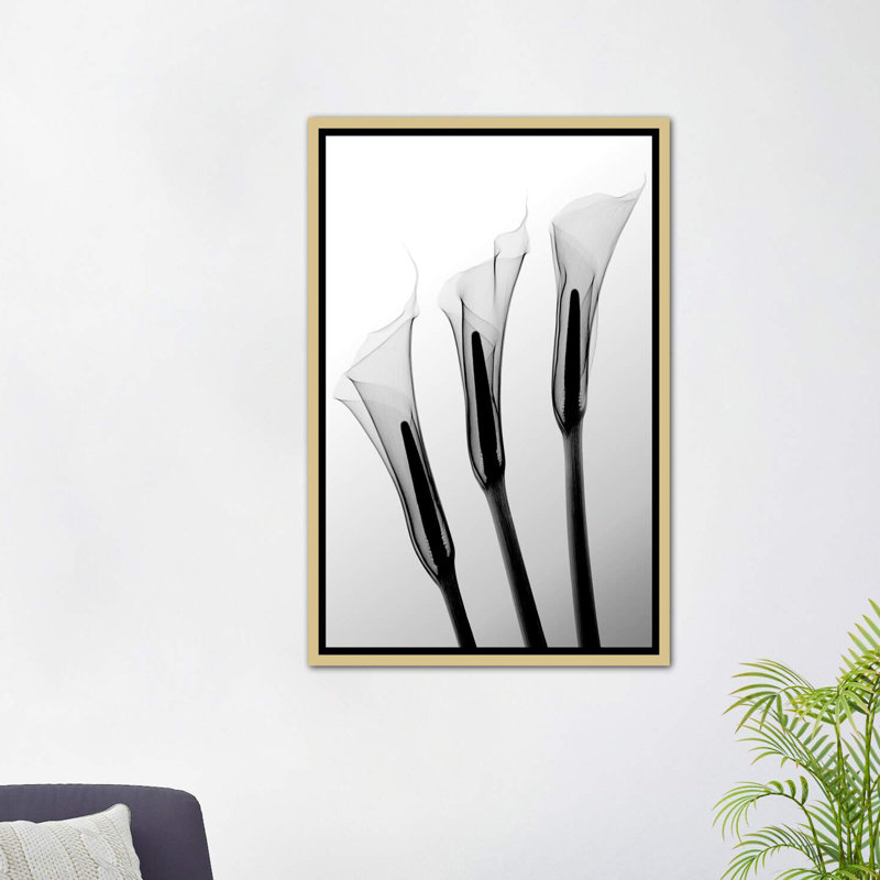 Callas I par Hong Pham - reproduction de photo, H 26 po x l 18 po x 1,5 po, Toile encadrée d'or